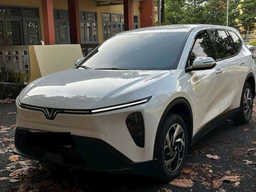 Vinfast Limo Green 2025