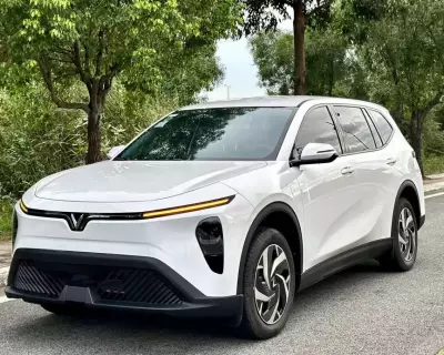 VINFAST LIMO GREEN 2026 SẠC 10/TH - MUA PIN odo 176km